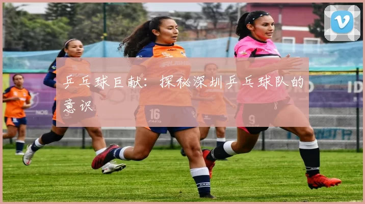 乒乓球巨献：探秘深圳乒乓球队的意识