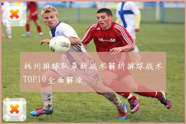 杭州排球队最新战术解析排球战术TOP10全面解读